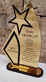 Pleksi Yıldız Plaket
