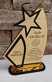 Pleksi Yıldız Plaket